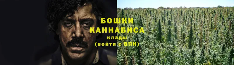 Где продают наркотики Кубинка ГАШИШ  СК  Меф  Бошки Шишки  Cocaine 